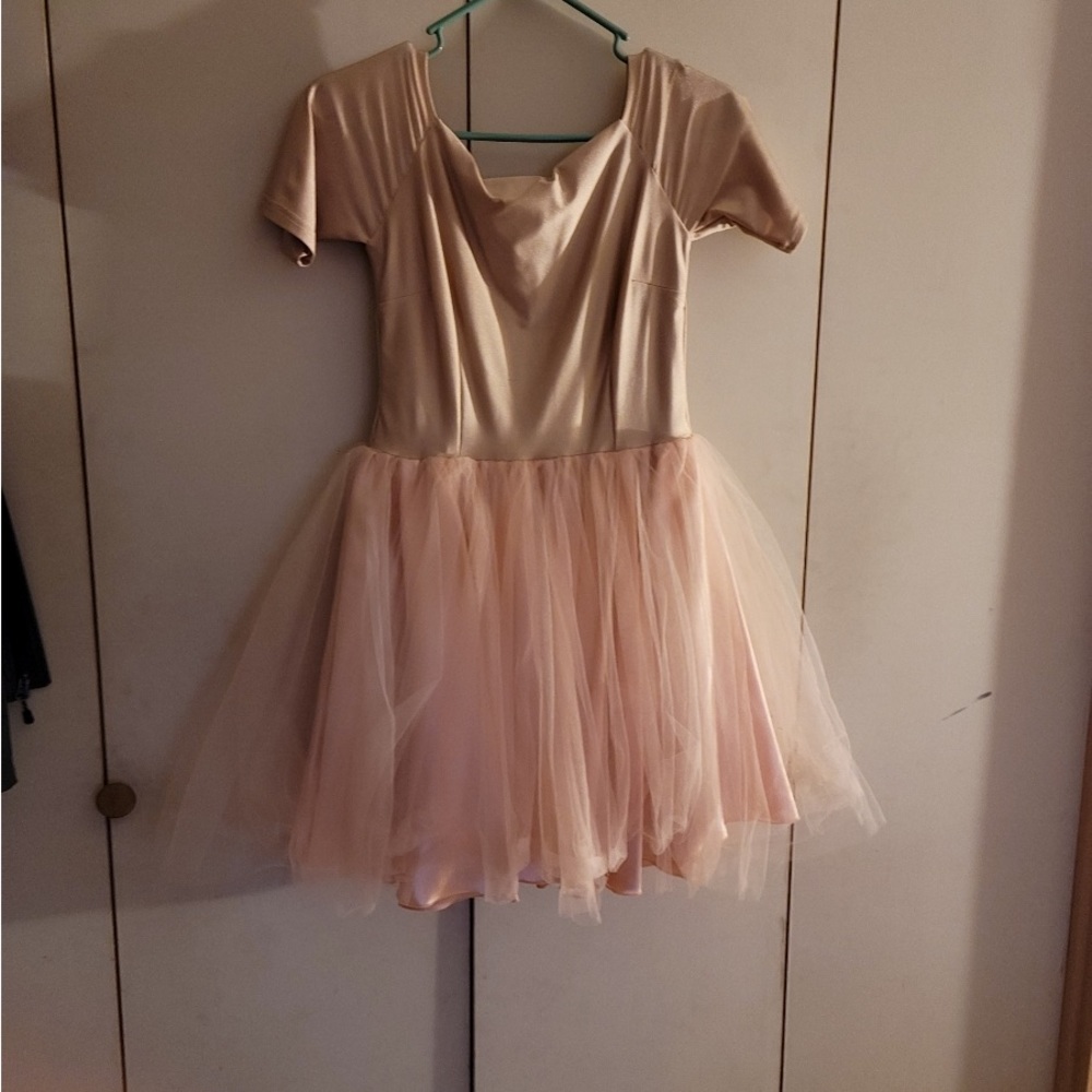 Pink fluffy dress , ballerina skirt , silky a lil stretchy top pice.